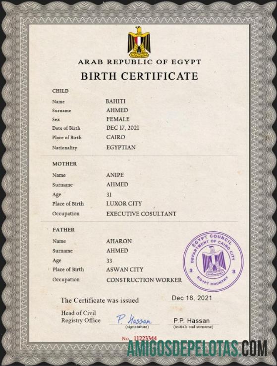 Imprimível modelo PSD de certidão de nascimento de registro vital do Egito